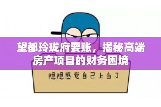 望都玲珑府要账，揭秘高端房产项目的财务困境