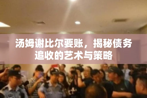 汤姆谢比尔要账，揭秘债务追收的艺术与策略