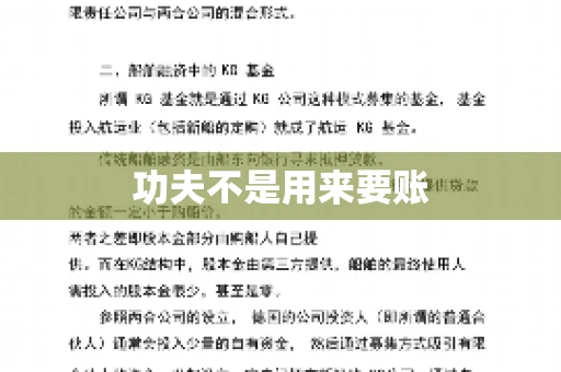 功夫不是用来要账