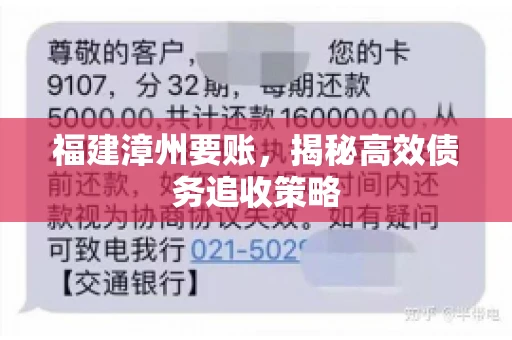 福建漳州要账，揭秘高效债务追收策略