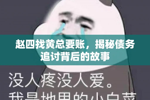 赵四找黄总要账，揭秘债务追讨背后的故事