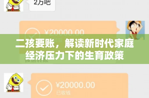 二孩要账，解读新时代家庭经济压力下的生育政策