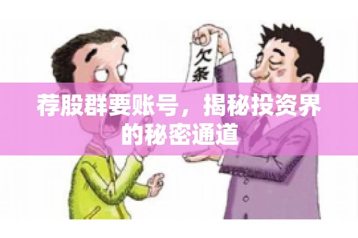 荐股群要账号，揭秘投资界的秘密通道