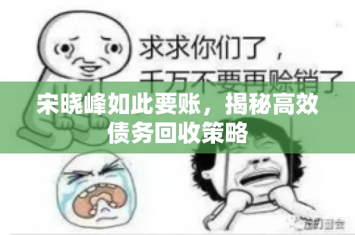 宋晓峰如此要账，揭秘高效债务回收策略