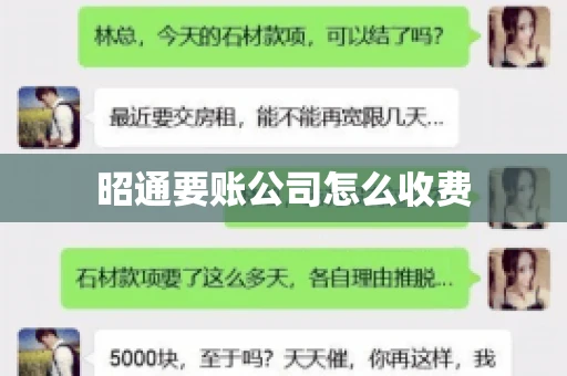 昭通要账公司怎么收费