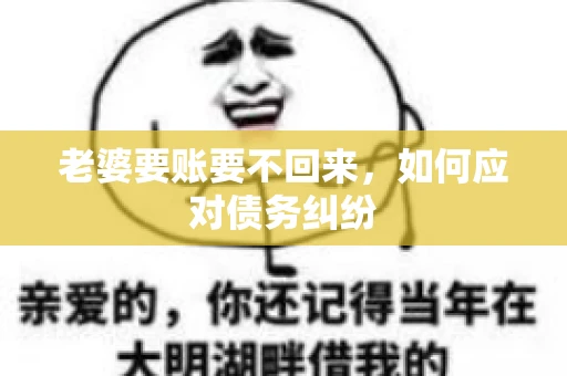 老婆要账要不回来，如何应对债务纠纷