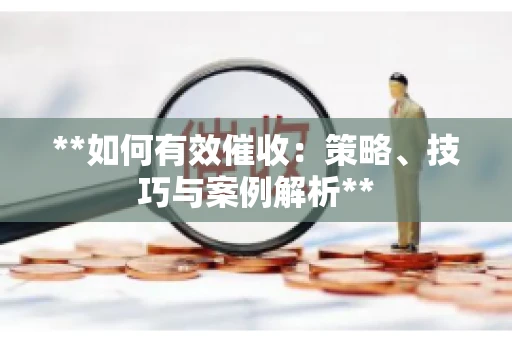 **如何有效催收：策略、技巧与案例解析**