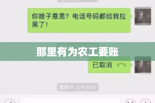 那里有为农工要账