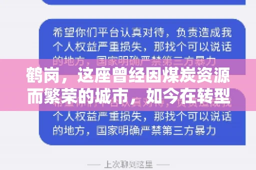 鹤岗，这座曾经因煤炭资源而繁荣的城市，如今在转型中寻求新的发展路径。在这座城市中，有一家名为“鹤岗要账公司”的企业，它以专业的服务，在众多企业中脱颖而出。今天，就让我们一起来了解一下这家公司，看看它是如何在这个充满挑战的市场中立足的。