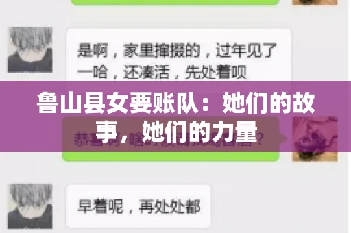 鲁山县女要账队：她们的故事，她们的力量