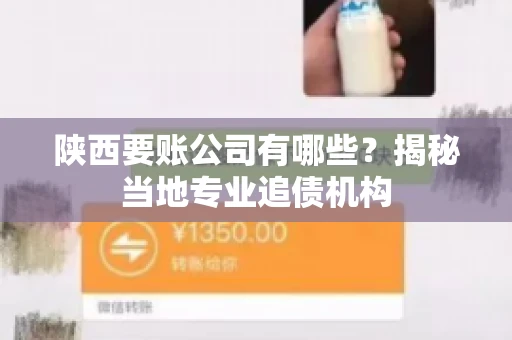 陕西要账公司有哪些？揭秘当地专业追债机构