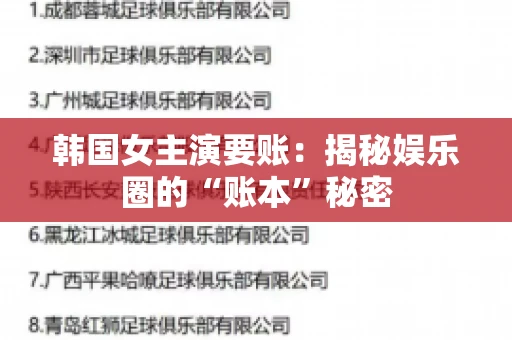 韩国女主演要账：揭秘娱乐圈的“账本”秘密