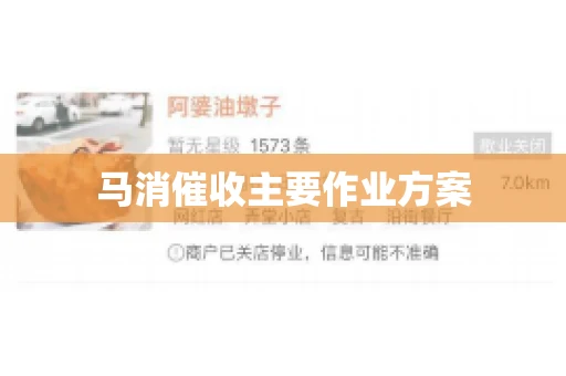 马消催收主要作业方案