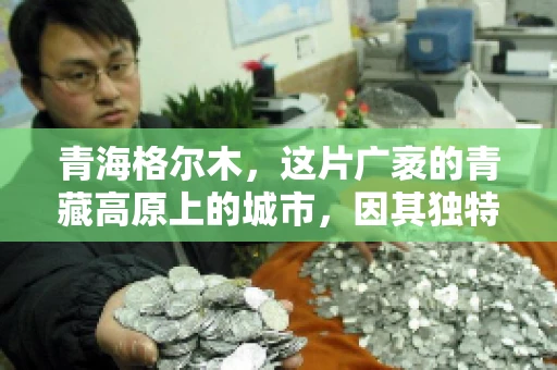 青海格尔木，这片广袤的青藏高原上的城市，因其独特的地理位置和丰富的自然资源而闻名。然而，对于一些借款人来说，这里可能因为逾期还款而接到催收电话。那么，青海格尔木的催收电话是哪家公司的呢？今天，我们就来聊聊这个话题。
