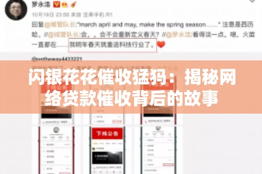 闪银花花催收猛犸：揭秘网络贷款催收背后的故事